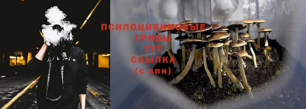 mdpv Надым