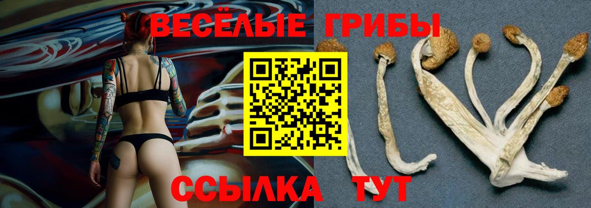Конопля  ГАШИШ  Вход с VPN  Конопля  Якутск  Меф МЯУ МЯУ  